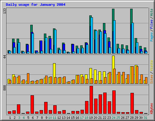 Daily usage for January 2004